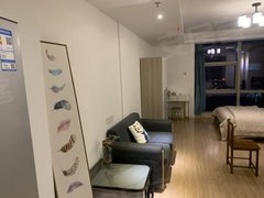 宁波北仑新碶博地，精装单身公寓出租出租房源真实图片