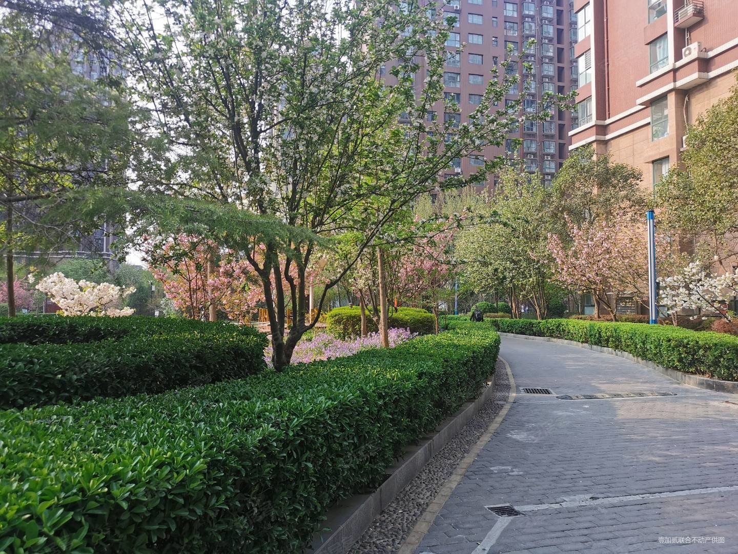 石家庄房产网>石家庄二手房>长安二手房>广安二手房>冠诚苑(冠城)>