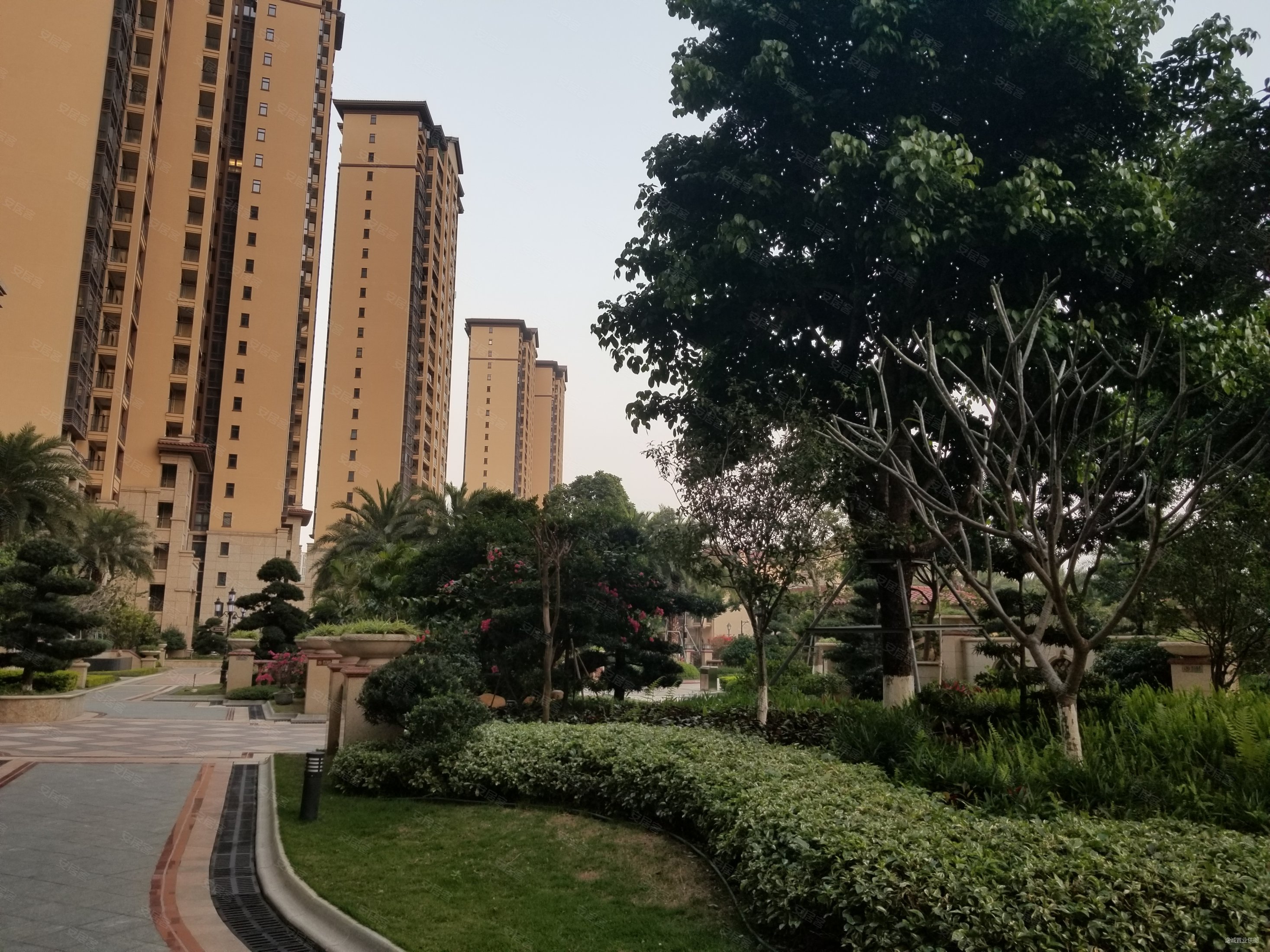 全湖景虎门高端小区湖山雅居精装三房南北通透高楼层看湖景