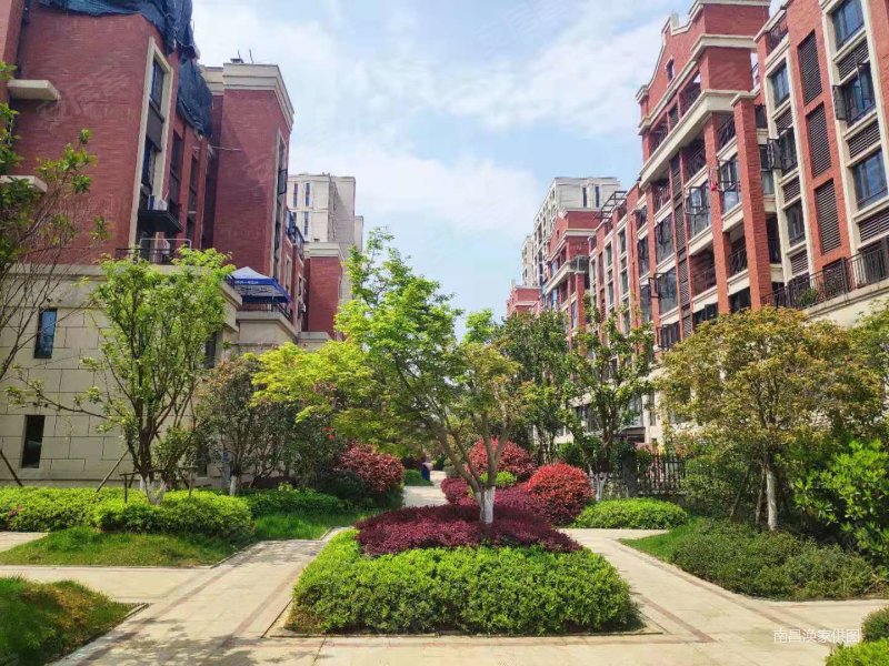 中海阳光玫瑰园