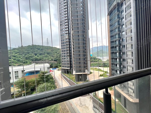深圳南山大学城京基御领公馆京基御景峯 两房东南向全齐出租 可养宠物