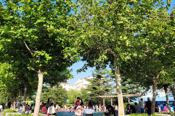 皇冠花园(南区)