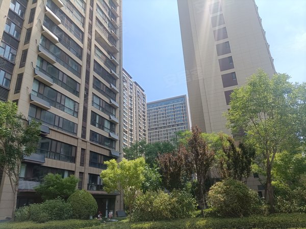 潍坊安居客>潍坊租房>高新区租房>新市府租房>碧桂园桃李东方>碧桂园