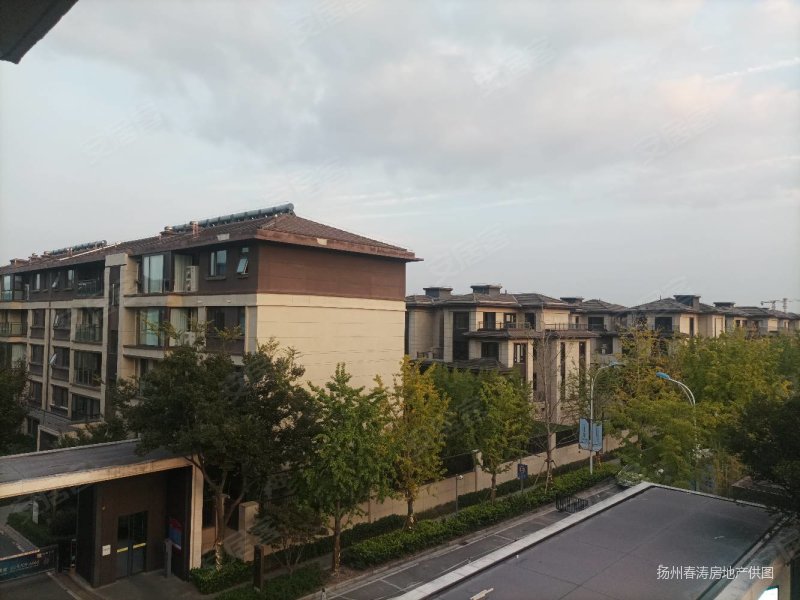 低于市场价20万 中信泰富锦园电梯洋房 房东急售 毛坯现房!