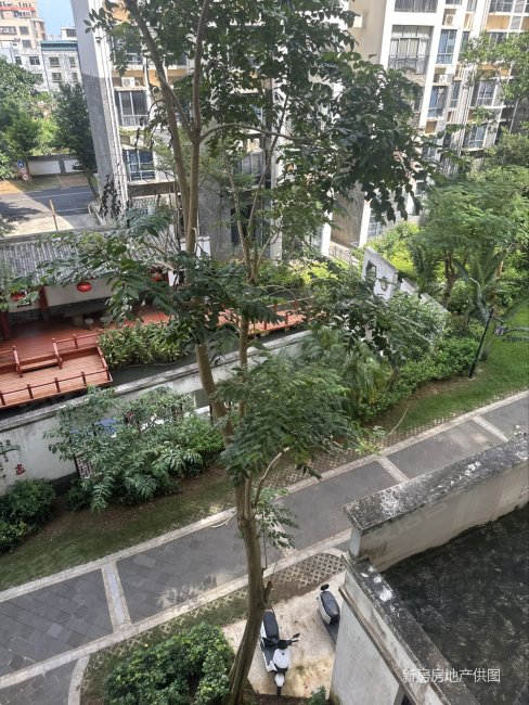 中华坊2室2厅1卫86㎡南北55万