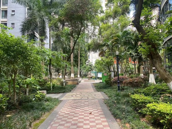 南宁西乡塘安吉鸿彦苑三面采光,豪华装修领包入住,近地铁,近菜市出租