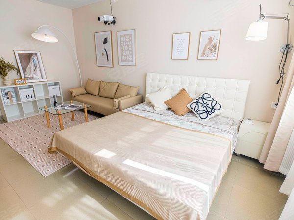 电梯高层公寓 家电齐全 民水民电 带高清投影仪出租房源真实图片