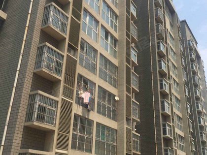 济宁小区 任城小区 金宇路小区 长泰瑞马棠颂9369元/m任城-金宇路