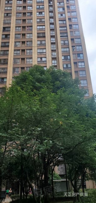 绿地伊顿公馆4房2厅2卫精装修房产证满二年