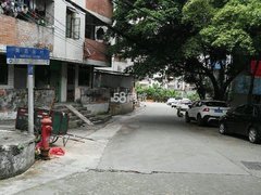 台山台城台城城区南昌新村 2室2厅1卫出租房源真实图片