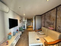 东莞横沥横沥城区时代倾城(商住楼) 电梯房 豪华装修 南北通透出租房源真实图片