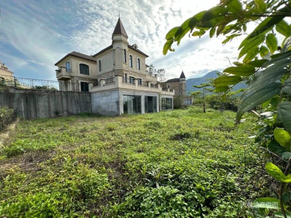 天麓(三区别墅)5室3厅5卫250.5㎡南北1630万