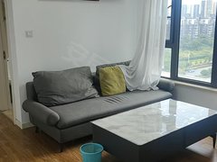 桂林临桂一院两馆吾悦广场旁500米精装公寓，一室一厅，三面采光，拎包入住。出租房源真实图片