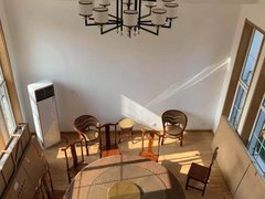 齐河城区齐河城区种菜养花养宠物的好地方！国科独栋别墅出租房源真实图片