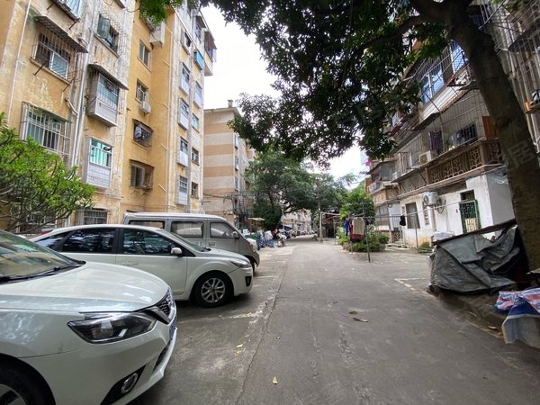 南宁青秀新竹新竹小区新竹小区中间楼层3房1厅户型方正采光好1号线