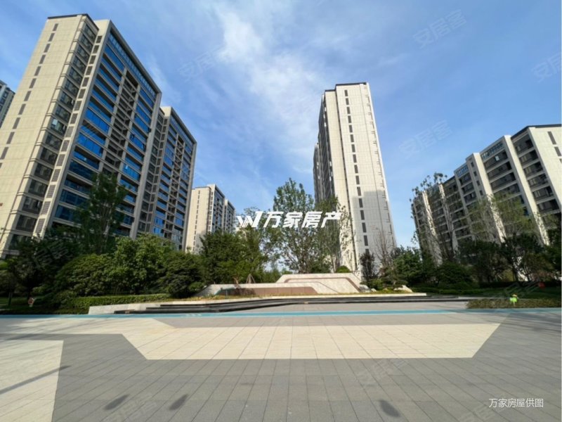 万家力推 偃师万达旁 泽京铂宸 好楼层 房东包大税 随时看房
