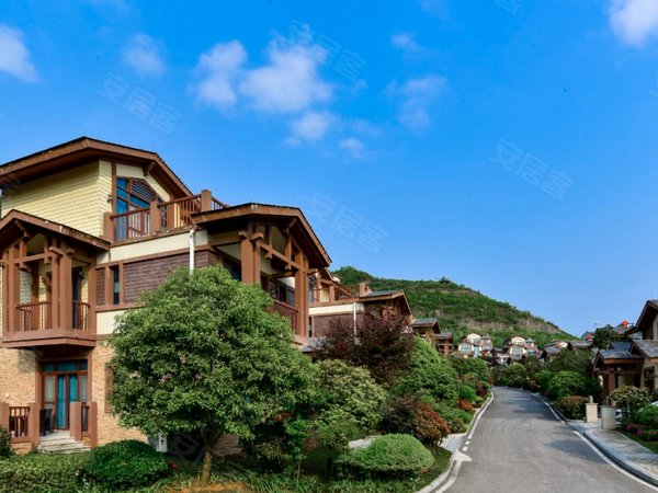 张家界永定解放路张家界碧桂园张家界武陵山大道碧桂园独栋别墅招租