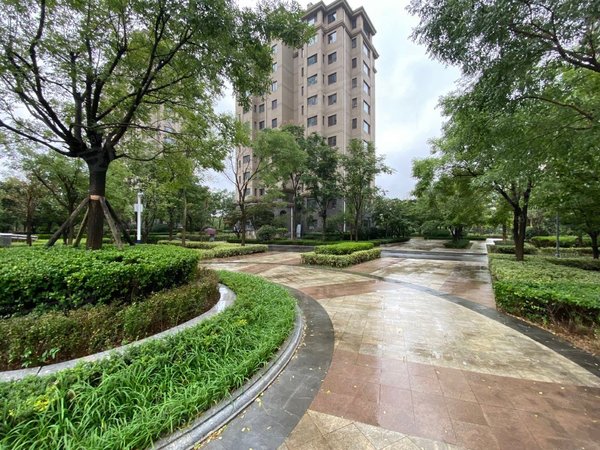 近市立医院2号线地铁麦凯乐海信广场远洋广场,市南租房-青岛58安居客