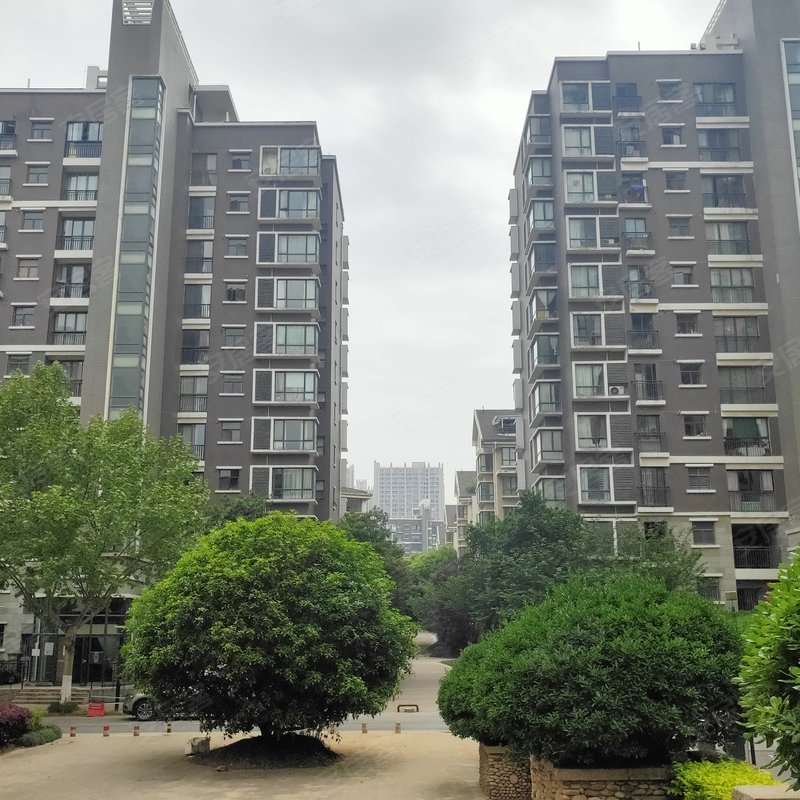 大溪地天籁轩小区详情,房价走势,房源,业主论坛】- 合肥58同城