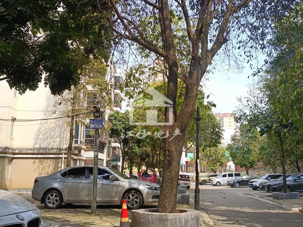 【多图】江南新兴苑(南区),白沙大道租房,江南新兴苑步梯大三房家电