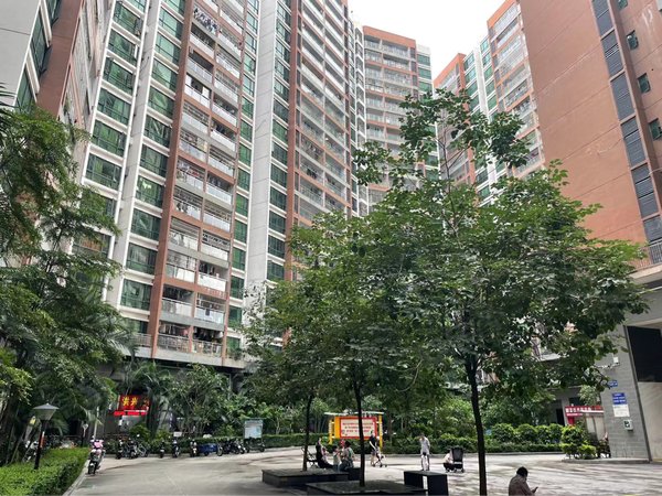 【多图】黄金豪庭(龙岗),南岭租房,黄金豪庭(龙岗) 1室1厅1卫,布吉