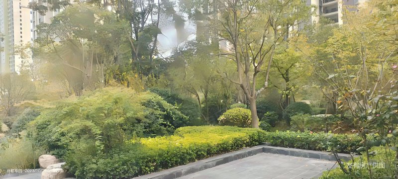 康桥康城一号院次新小区满二高楼层视野无遮挡