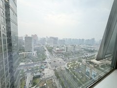 杭州拱墅汽车北站新上 复地壹中心loft两居室 十号线花园岗地铁口 汽车北站出租房源真实图片