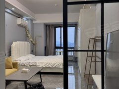 绍兴诸暨诸暨市区万达希尔顿 一室一厅 55平 湖景房 停车免费 拎包入住出租房源真实图片