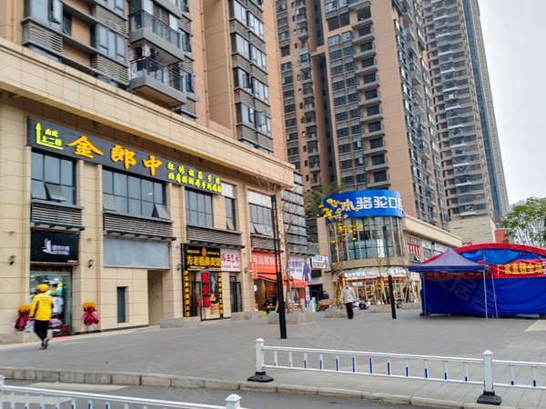 南宁西乡塘北湖大唐天城北湖地铁口,大唐天城,精装4房出租房源真实