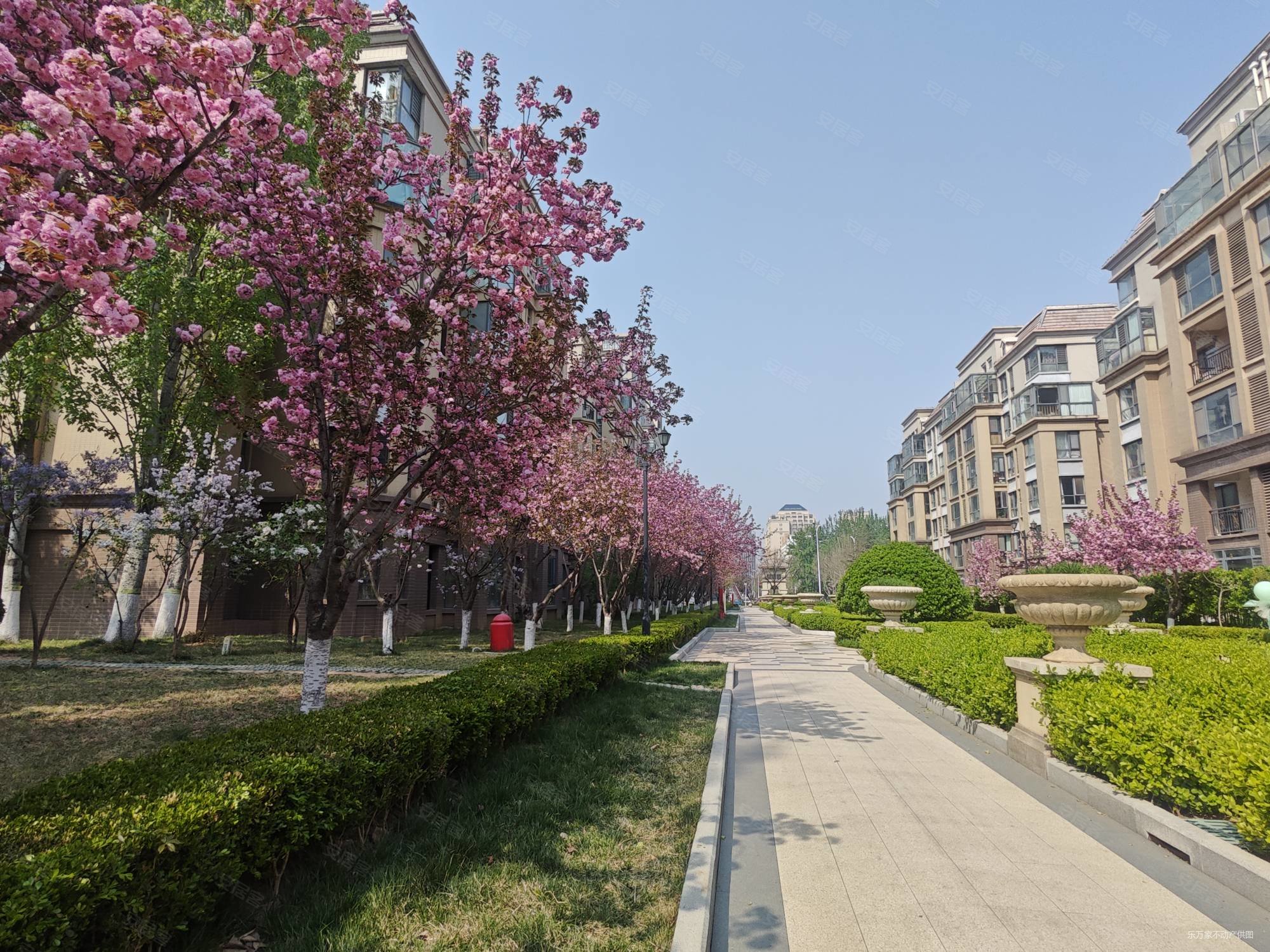 潍坊房产网>潍坊二手房>高新区二手房>新市府二手房>中海大观天下一期