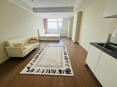 大连西岗新开路大连租房 押一付一 近火车站柏威年 缺啥配啥 电梯刷卡出租房源真实图片