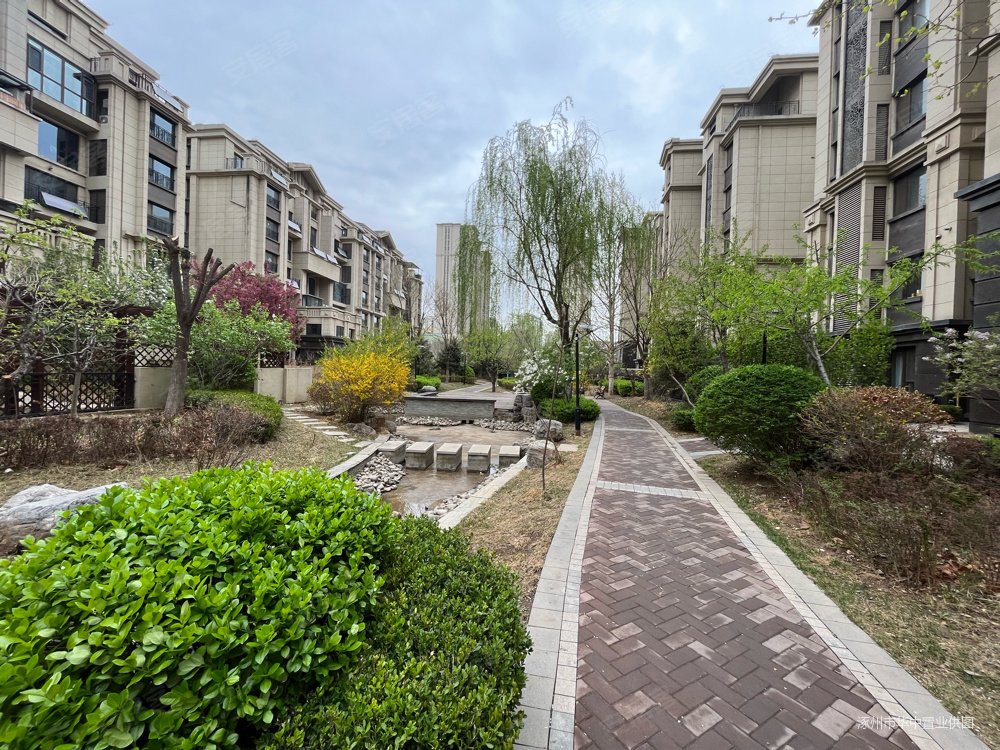 高铁改善好房鸿坤理想湾电梯洋房一梯两户随时看房