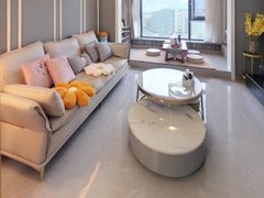 柳州城中城中实图1个月起租 万象城 阳光100 东环路 城中万达出租房源真实图片