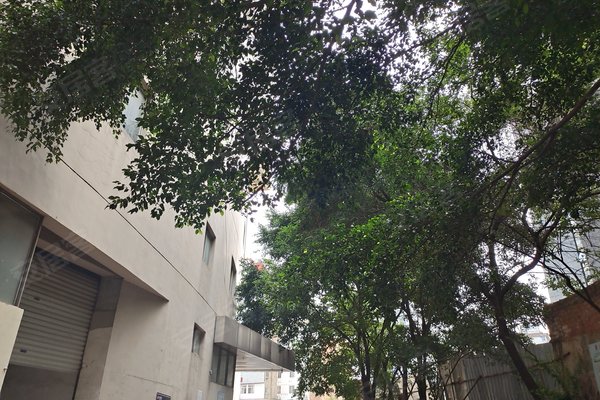 金朝阳优点,不足,金朝阳怎么样,金朝阳周边房产中介经纪人评价-南宁
