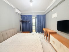 东莞大朗体育馆碧桂园万象松湖(商住楼) 1室1厅1卫  电梯房 精装修出租房源真实图片