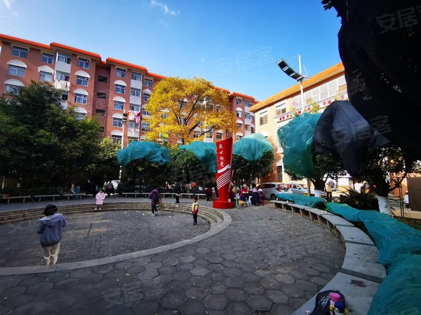 昆明五华小西门电子大厦无中 可月付 电子大厦潘家湾地铁站南屏街大观