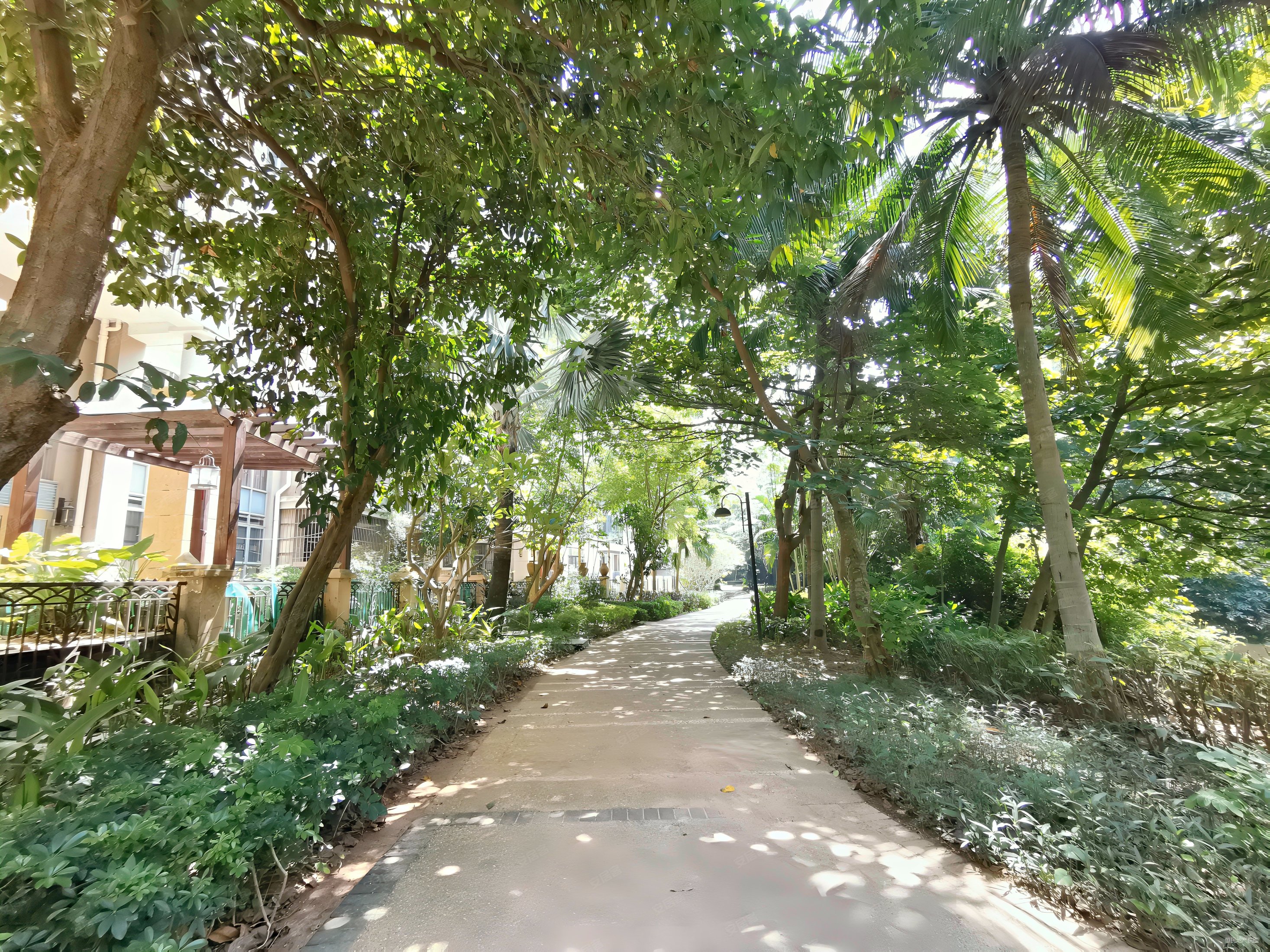 新埠岛新世界花园二期小高层洋房精装2房公园一样的小区