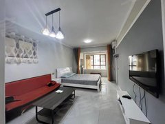 徐州新沂建邺路城南,包网包物业!馨园雅居,一室一厅精装公寓1200一月出租房源真实图片