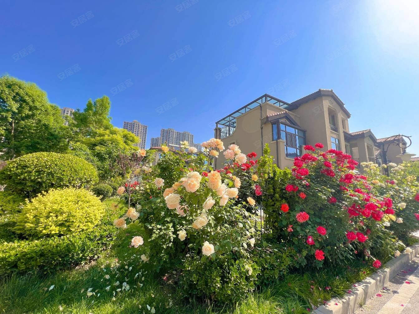 石家庄碧桂园别墅