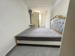 苏州沧浪友新友新新村 桐泾公园地铁 桐泾商务广场市区房管局押一付一出租房源真实图片