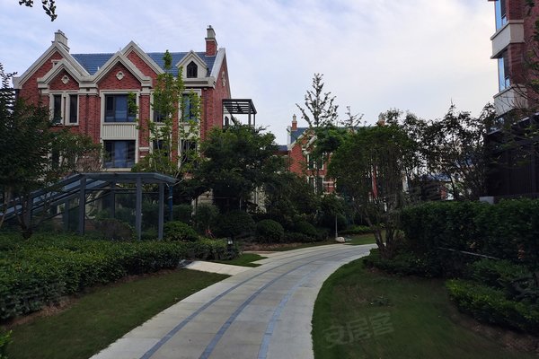 阜阳小区 太和小区 人民中路小区 国建红郡