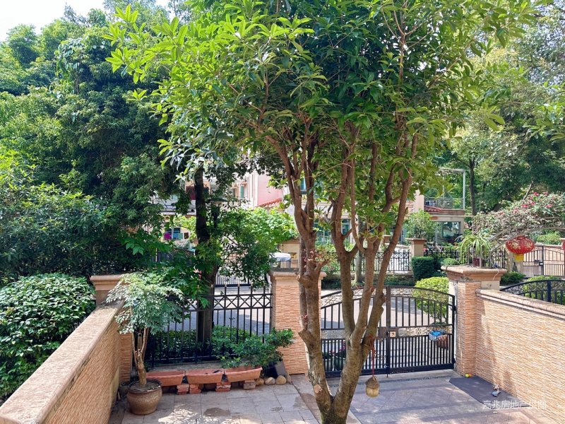 城南天府新区雅居乐精装联排别墅  南北朝向  拎包入住