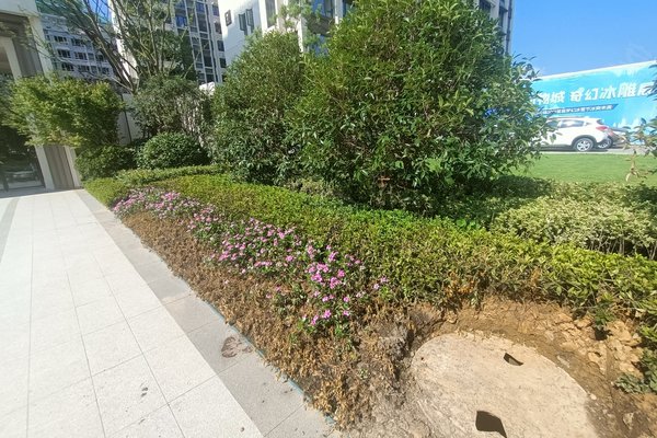 华地学府公园,阜阳北路,近五湖大道-合肥华地学府公园二手房,租房