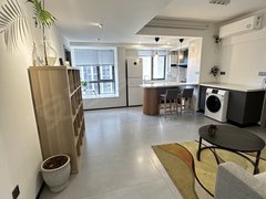 永康永康市区天鹅路商业街总部对面 精装小资两室 有吧台 等待高品味的你出租房源真实图片
