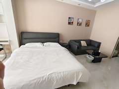 益阳赫山万达广场万海商圈益阳大道梓山湖公馆 精装公寓 交通方便 拎包入住出租房源真实图片