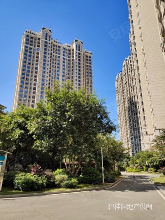 观澜碧桂园82平米两房,深圳外环出口,笋盘推荐,业主急卖