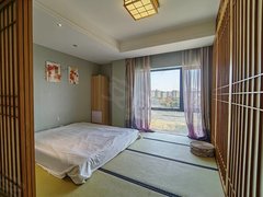 上海金山金山新城万达公寓 日式精装 1室1厅1卫 拎包入住出租房源真实图片