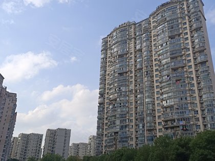 上海康城人口_从松江到莘庄,上海这个最大社区鲜为人知的变更史 你知道吗