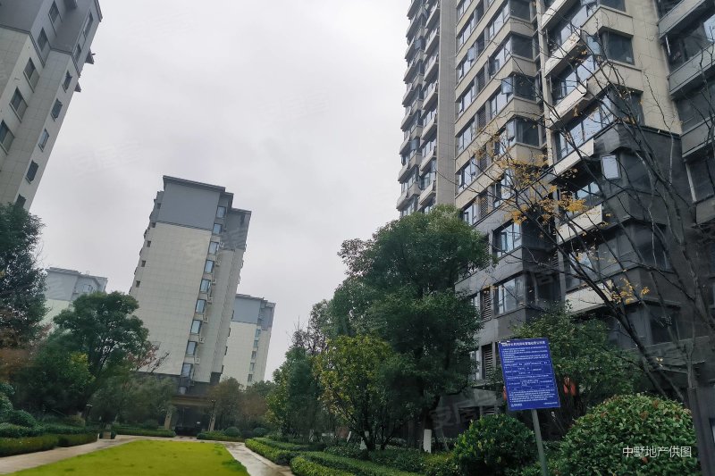 实拍图,招商公园1872洋房   随时可看