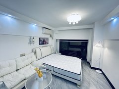 南宁良庆良庆镇少女风 漂亮一房一厅 押一付一 地铁口 合景泰富 富必达集团出租房源真实图片